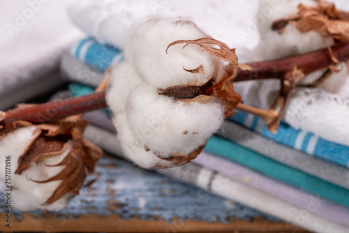 Soft natural fiber kitchen and bed textile made from organic cotton bolls close up