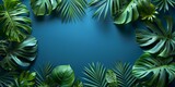 Tropical leaves elegantly frame a serene blue space