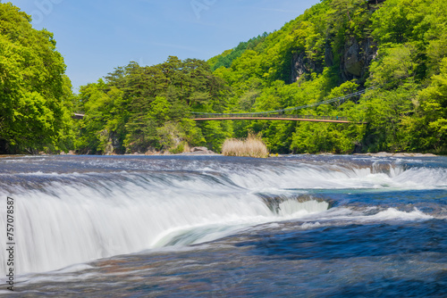 Canvastavla 日本の風景・春　群馬県沼田市　新緑の吹割渓谷　吹割の滝