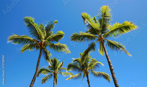 Tropical Palm Trees in Clear Blue Holiday Sky, Generative AI 