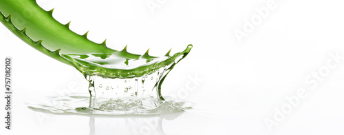 aloe plant gel water splash on white background © Екатерина Клищевник