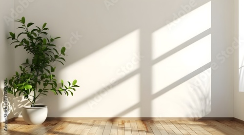 white wall and plant