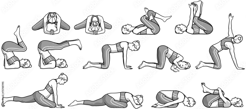 Fototapeta premium Illustration yoga diverse / Rajakapotanasana / Taube / Garbhasana / Apanasana / meditation / mobilisation