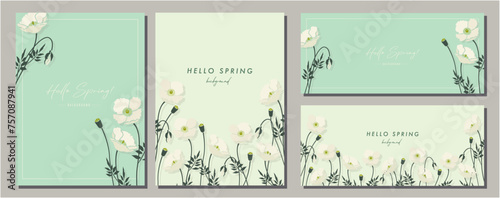 ポピー　poppy　素材セット　フレーム　背景　ベクターイラスト　シンプル　おしゃれ