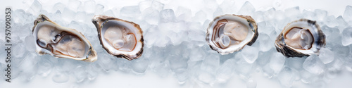 Top view of a row of four large open oysters on crushed ice.