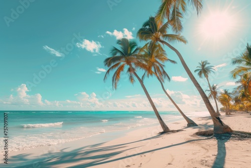 Beauty view of beach line with tall palms tree and ocean. White sand. Bright tropical summer sun and blue sky with light clouds.
