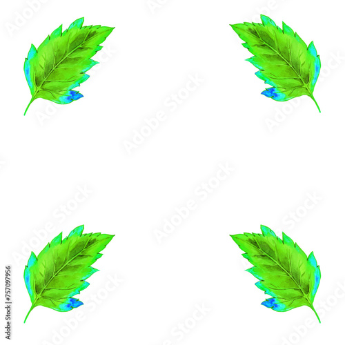 set of four green leaves