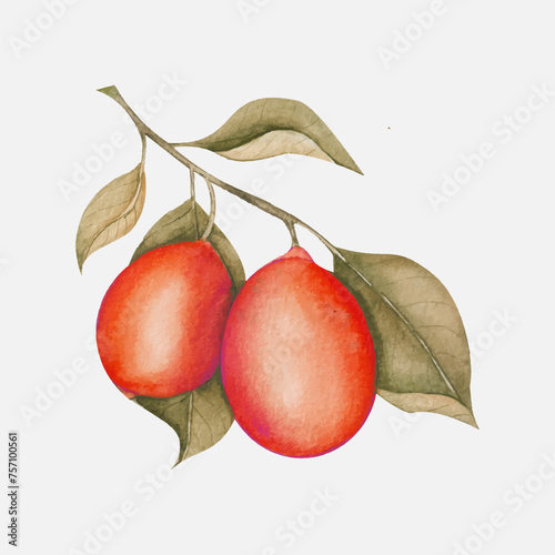 fruit with leaves, pear with leaves
