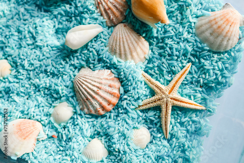 Seashells close-up on colored rice, background