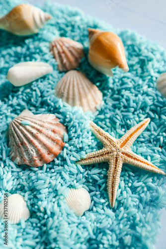 Seashells close-up on colored rice, background