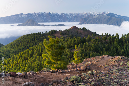 Wanderweg im Parque Natural Cumbre Vieja, im Hintergrund die Caldera de Taburiente, Insel La Palma, Kanarische Inseln, Spanien photo