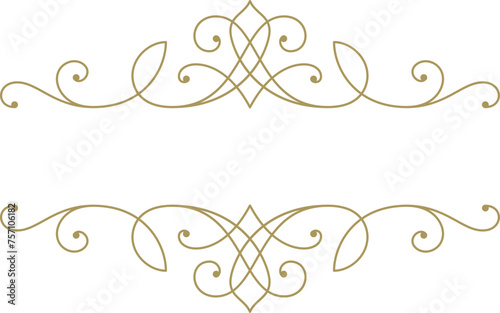 Vintage ornament swirl text divider filigree calligraphic vector illustration