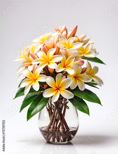 Beautiful lush bouquet with frangipani on a white background