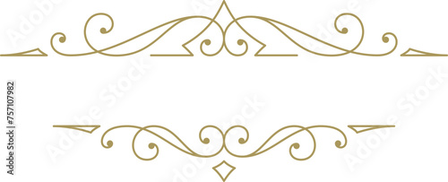 Vintage ornament swirl text divider filigree calligraphic vector illustration