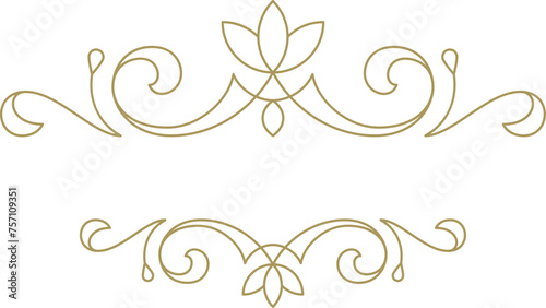 Vintage ornament swirl text divider filigree calligraphic vector illustration