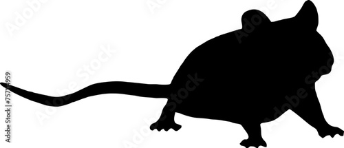 Rat mouse vector silhouette