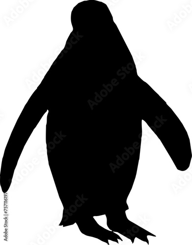 Penguin black vector silhouette