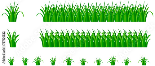 Vector Green Grass natural, organic, bio, eco label and shape on white background