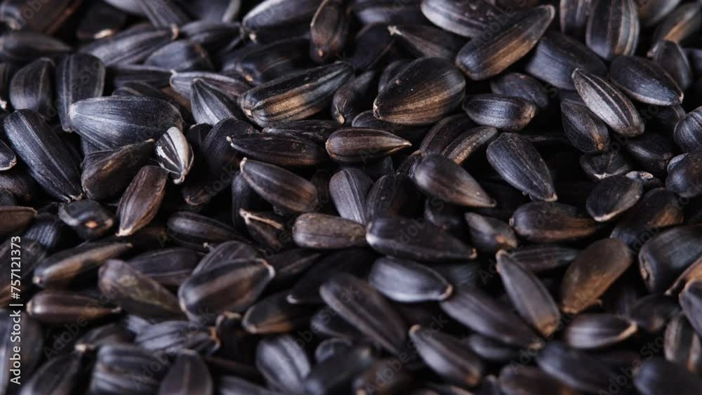The sunflower seeds on a plate close-up. The sunflower seeds after harvest. Pile of Dried Sunflower Unpeeled Seeds, a Healthy Source of Vitamins in Vegan Food. The sunflower seeds on a plate close-up. The sunflower seeds after harvest. Pile of Dried Sunflower Unpeeled Seeds, a Healthy Source of Vitamins in Vegan Food.