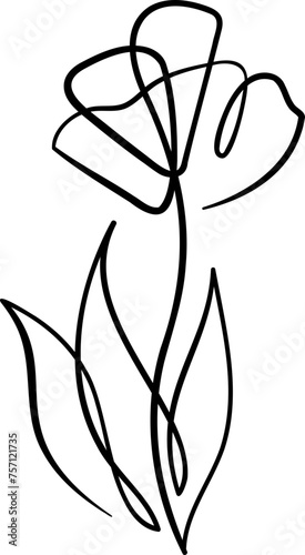 Continuous line drawing. Line art floral concept design. Flower drawing with single continuous line. Flower silhouette contour drawing with black thin line transparent background.