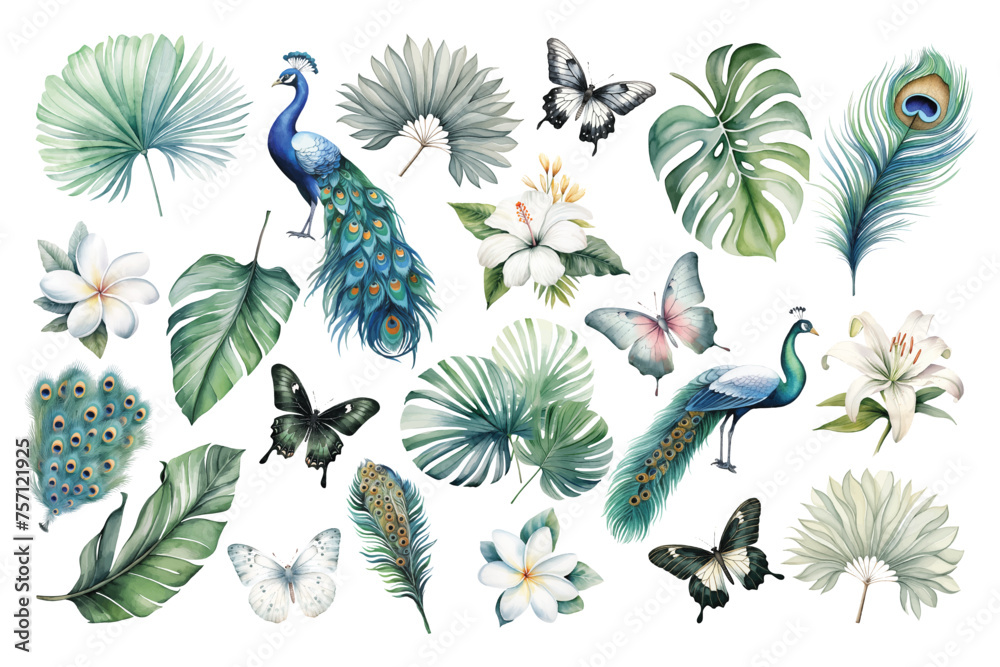 watercolor peacocks birds, feathers, butterflies and tropical leaves set hand drown illustration - obrazy, fototapety, plakaty 