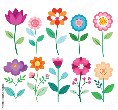 set of flat flowers vector illustration photo