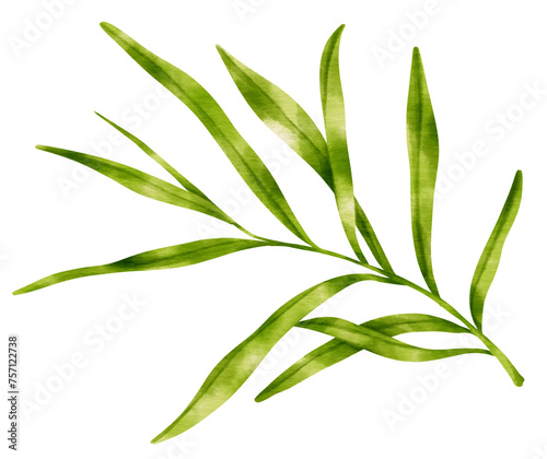 Branch of Green Leaf watercolor style for Decorative Element