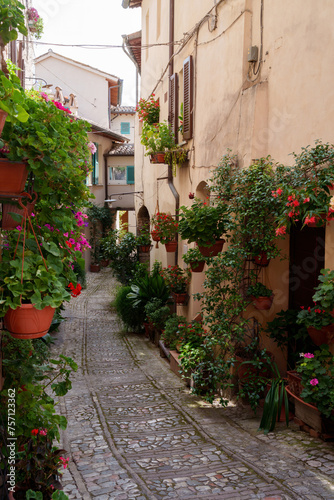 Fototapeta Naklejka Na Ścianę i Meble -  Historic buildings of Spello, Umbria, Italy