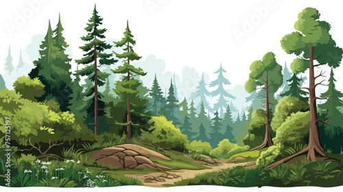 Vector forest scene with various forest trees vector photo