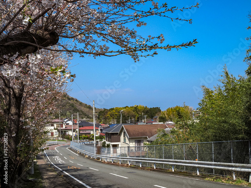 伊豆高原の道路