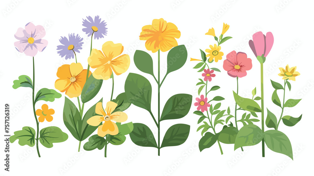 Vector of spring flowers with a leaf  flat vector 