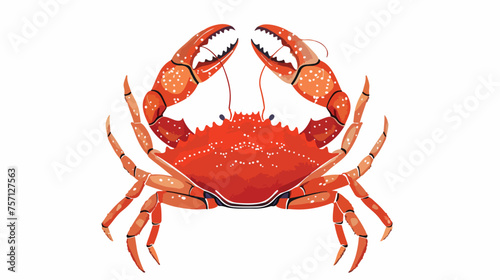 Vector red crab. Hand drawn for travel design  flat