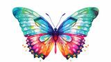 Watercolor butterfly  isolated on white flat vector