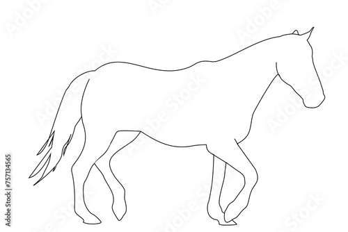 vector illustration of a black silhouette of a horse isolated on a white background. The theme of equestrian sports, animal husbandry and veterinary medicine
