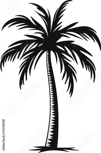 Palm Tree Portrait Portrayed Palm Tree Vector Design