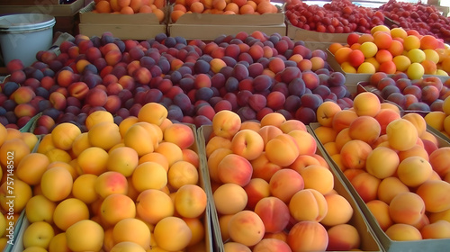 Bustling Farmers Market Featuring a Variety of Fresh Fruits 