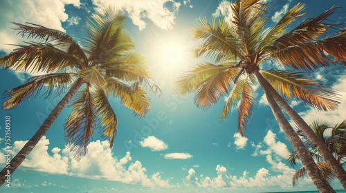  Tropical Palm Trees Against Blue Sky photo