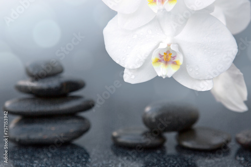 White orchid flowers and black spa stones on the gray table background.