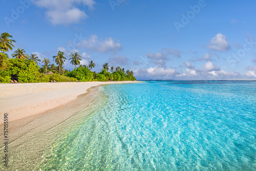 Amazing nature beach with palm trees and moody sky. Summer vacation travel holiday background. Maldives paradise beach. Luxury travel summer holiday tourism. Sunny coast fantastic pristine sea water