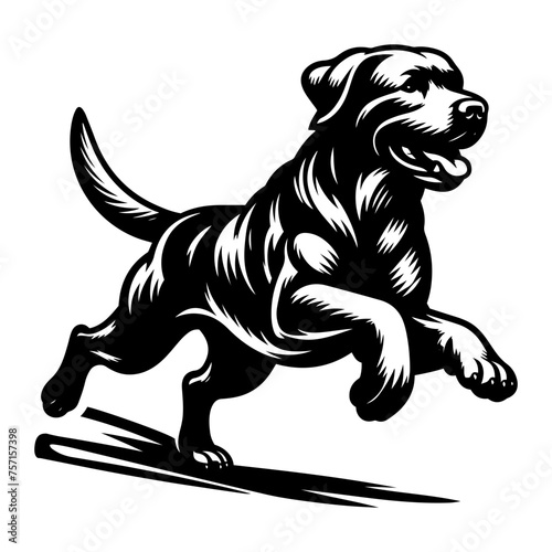 Labrador Retriever Vector - Labrador Retriever dog running