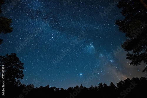 An awe-inspiring view of a peaceful night sky filled with sparkling stars, framed by trees standing tall in the foreground, A dreamy star-filled sky after a hot summer day, AI Generated