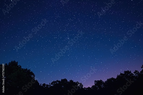 A captivating scene showcasing a dark night sky adorned with countless twinkling stars and towering trees, A dreamy star-filled sky after a hot summer day, AI Generated