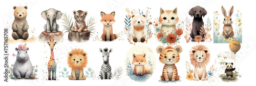 Adorable Collection of Watercolor Animals: Bears, Elephants, Foxes, and More Surrounded