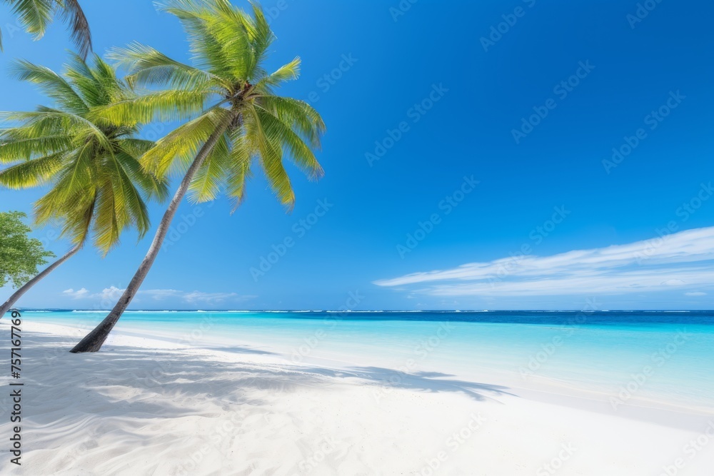 A beautiful tropical beach, coconut palms by the sea with turquoise water, a paradise island, a seaside resort. Summer background.