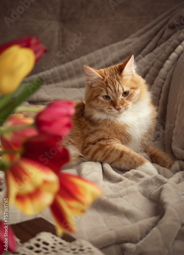 A photo of a beautiful red cat near a bouquet of tulips.