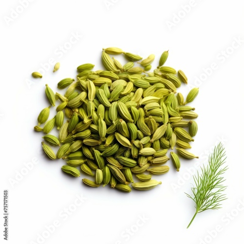 Fennel Seeds isolated on white background