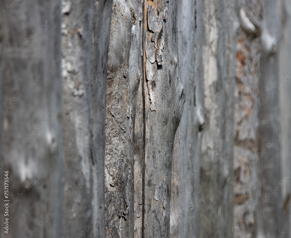 natural background made of wooden boards. natural background made of wooden boards.