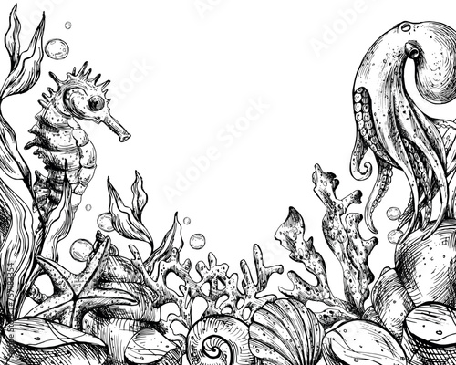 Underwater world clipart with sea animals whale, turtle, octopus, seahorse, starfish, shells, coral and algae. Graphic illustration hand drawn in black ink. Template, frame EPS vector.