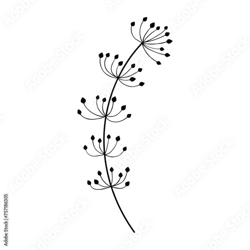 black silhouette of a plant  isolated on a white background