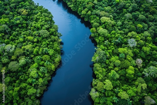 A meandering river winds its way through a verdant forest, surrounded by lush green foliage and tall trees, A river surrounded by vibrant green rainforest, AI Generated
